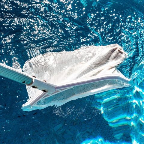 galabau_frings_blog_poolreinigung_2